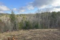 Property for sale in Fannin County, Georgia