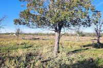 Undeveloped Land for sale in Irion County, Texas