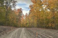 Undeveloped Land for sale in Leelanau County, Michigan