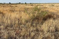 Undeveloped Land for sale in Andrews County, Texas
