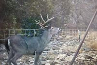 Property for sale in Edwards County, Texas