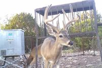 Lakefront Property for sale in Edwards County, Texas