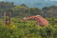 Property for sale in Kerr County, Texas