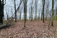 Undeveloped Land for sale in Trumbull County, Ohio