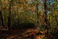 Property for sale in Carroll County, Virginia