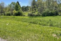 Undeveloped Land for sale in Wythe County, Virginia