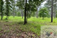 Undeveloped Land for sale in Lafayette County, Arkansas