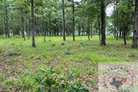 Property for sale in Lafayette County, Arkansas