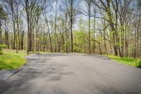 Undeveloped Land for sale in Washington County, Virginia