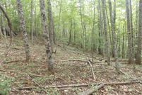 Property for sale in Carroll County, Virginia