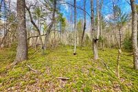 Property for sale in Morgan County, Tennessee