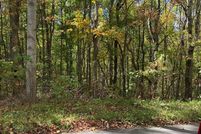 Undeveloped Land for sale in Tazewell County, Virginia