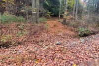 Undeveloped Land for sale in Wythe County, Virginia