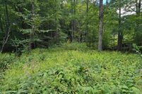 Property for sale in Grayson County, Virginia