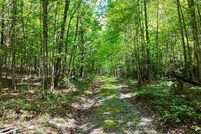Undeveloped Land for sale in Smyth County, Virginia