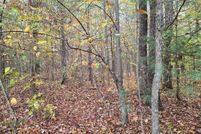 Undeveloped Land for sale in Scott County, Tennessee