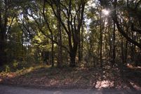 Undeveloped Land for sale in Georgetown County, South Carolina