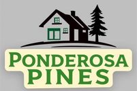 Undeveloped Land for sale in Olmsted County, Minnesota