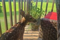 Property for sale in Talladega County, Alabama