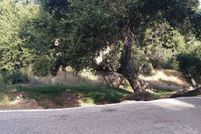 Property for sale in Los Angeles County, California