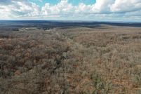 Undeveloped Land for sale in Saint Clair County, Missouri