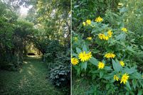 Property for sale in Dane County, Wisconsin