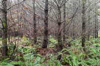 Undeveloped Land for sale in Lewis County, Washington