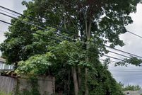 Property for sale in King County, Washington