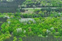 Undeveloped Land for sale in Newaygo County, Michigan
