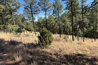 Undeveloped Land for sale in Lincoln County, New Mexico