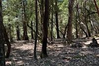 Undeveloped Land for sale in Mendocino County, California