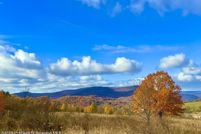 Undeveloped Land for sale in Wyoming County, Pennsylvania