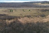 Undeveloped Land for sale in Alpena County, Michigan