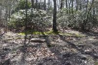 Undeveloped Land for sale in Rutherford County, North Carolina