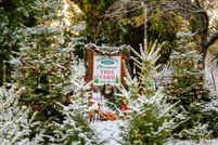 Property for sale in El Dorado County, California