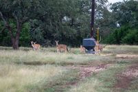 Farm Property for sale in Real County, Texas