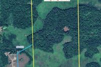 Undeveloped Land for sale in Morrison County, Minnesota