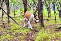 Property for sale in Bandera County, Texas