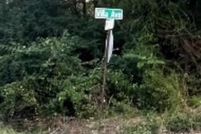 Undeveloped Land for sale in Caddo Parish, Louisiana