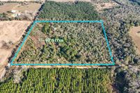 Undeveloped Land for sale in Covington County, Alabama