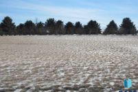 Undeveloped Land for sale in Pipestone County, Minnesota