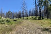 Undeveloped Land for sale in Trinity County, California