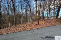Undeveloped Land for sale in Henry County, Virginia