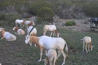 Property for sale in Edwards County, Texas