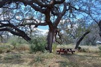 Undeveloped Land for sale in Frio County, Texas