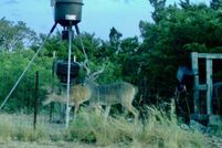 Property for sale in Edwards County, Texas