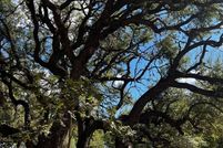 Property for sale in Real County, Texas