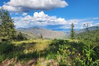 Undeveloped Land for sale in Okanogan County, Washington