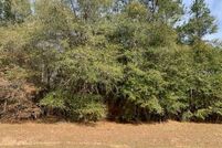 Undeveloped Land for sale in Gadsden County, Florida