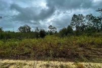 Property for sale in Levy County, Florida